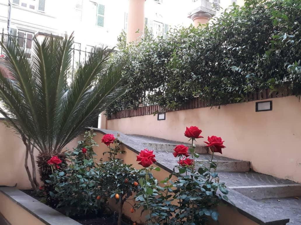 Rosa Guest House Rome Extérieur photo